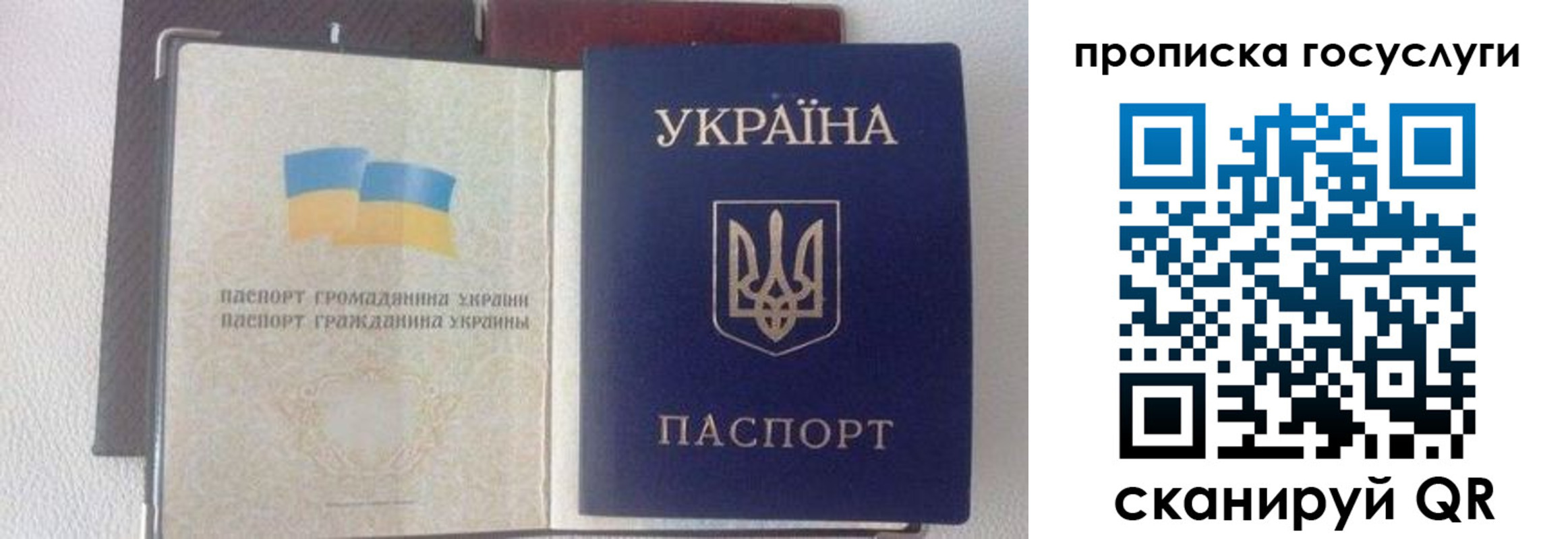 временная регистрация недорого в Донском